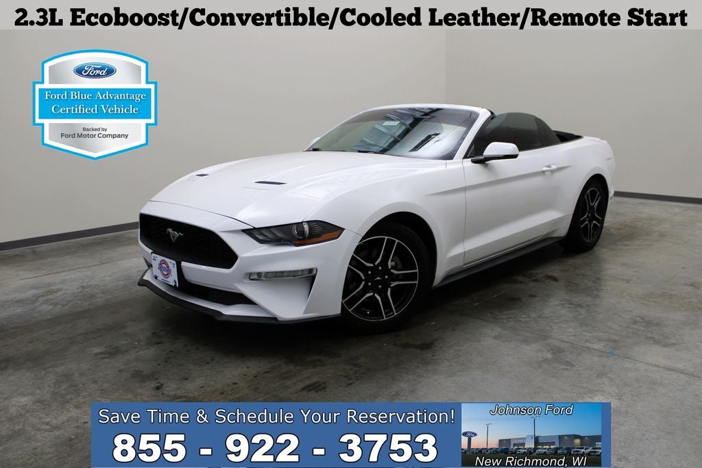 2019 Ford Mustang EcoBoost Convertible Premium's photo